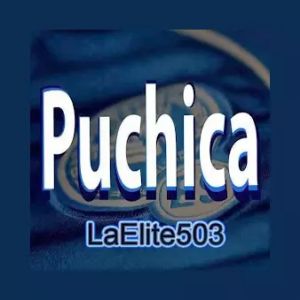 LaElite503