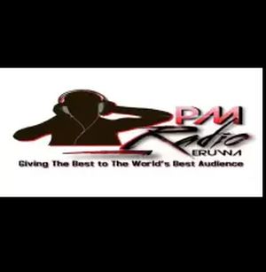 Logo de la station de radio The PM Radio