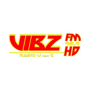 Logo de la station de radio VibzFM