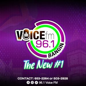 Logotipo de la emisora ​​de radio 96.1 Voice FM