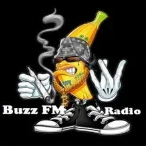 Logo de la station de radio Buzz FM