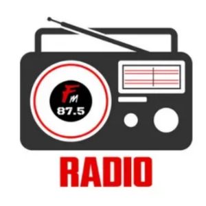 Logo de la station de radio Narshingbari Radio