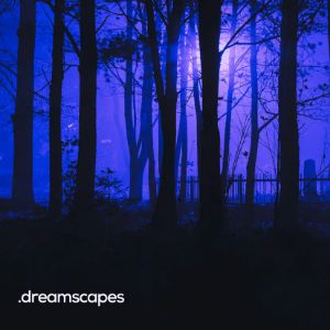 Logotipo de la emisora ​​de radio BOX : Dreamscapes