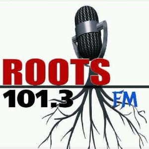 Logo de la station de radio Roots FM 101.3