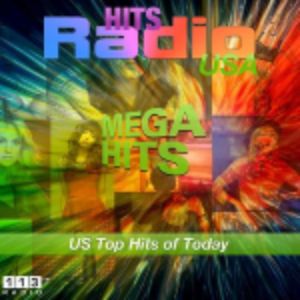 Logotipo de la emisora ​​de radio 113.FM Hits USA