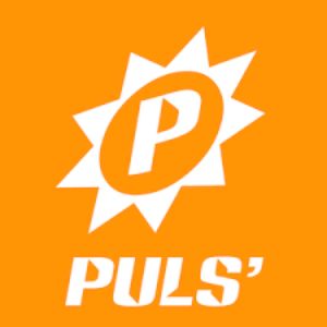 Logo de la station de radio PulsRadio Dance