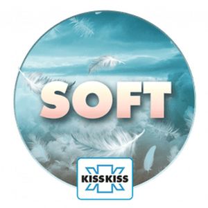 Logo de la station de radio Radio Kiss Kiss Soft