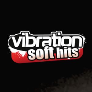 Logo de la station de radio Vibration Soft Hits