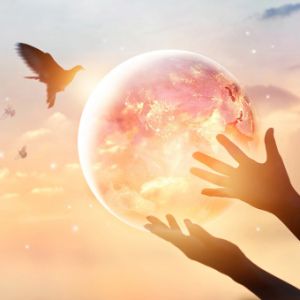 Logo de la station de radio Zen Radio - Reiki