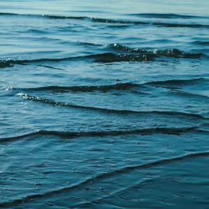 Logo de la station de radio Sleepscapes - Waves