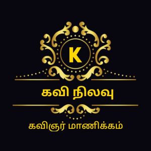 Logo de la station de radio Kavinilavu FM