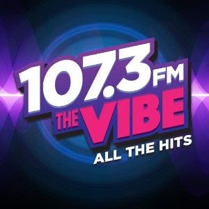 Logo of radio station KMJK 107.3 THE VIBE