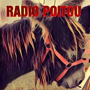 Logo de la station de radio Radio Poitou