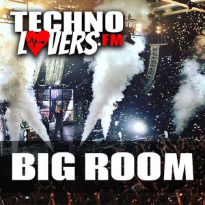 Logo de la station de radio Technolovers - Big Room