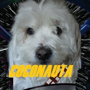 Logotipo de la emisora ​​de radio Coconauta Radio