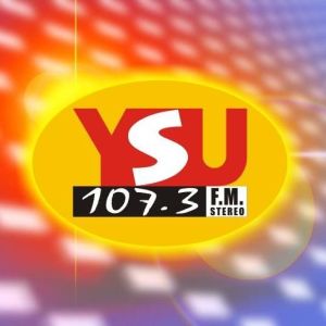Logo of radio station YSU 107.3 FM