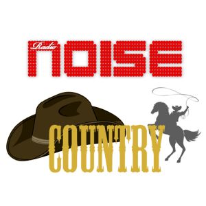 Logo de la station de radio Radio Noise Country