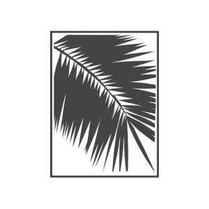 Logo de la station de radio Palmera Blanca