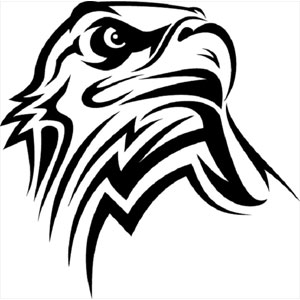 Logo de la station de radio The Hawk 89.5 FM