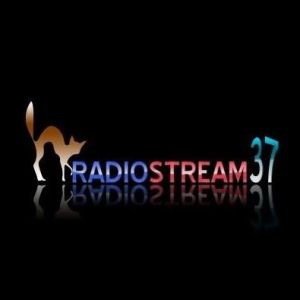Logo de la station de radio Radio Stream 37