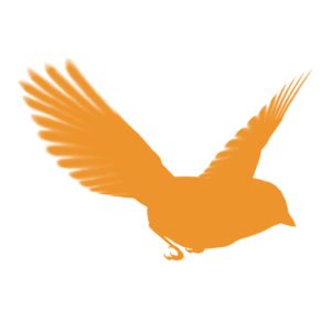Logo de la station de radio Blackbird HD