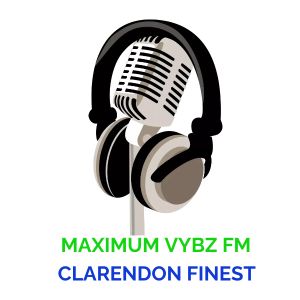 Logo of radio station Maximum Vybz FM