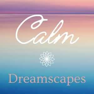 Logo de la station de radio Calm Dreamscapes