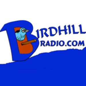 Logo de la station de radio Birdhill Radio