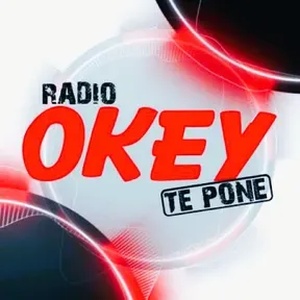 Logo of radio station Radio Okey 91.9 FM