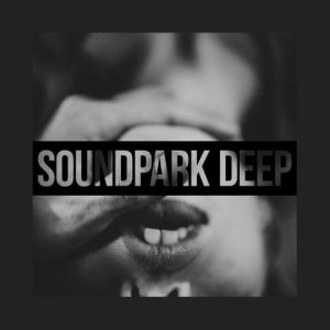 Logo de la station de radio Sound Park #DEEP