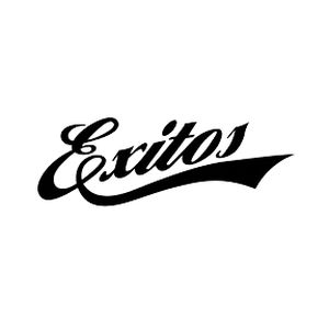 Logo de la station de radio Exitos 99.9 FM